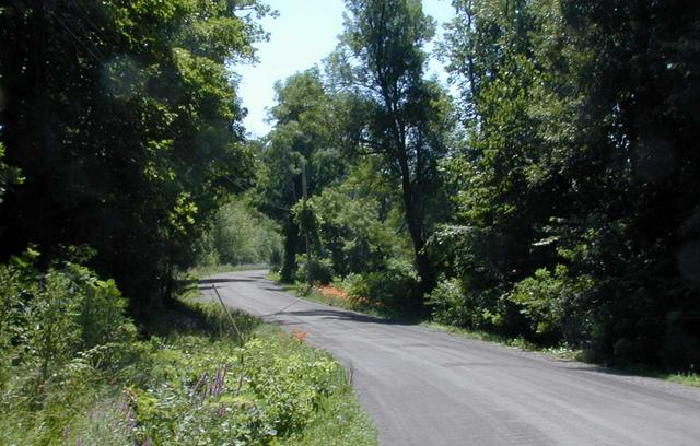 The West Shore Road near Rockwell Bay in South Hero