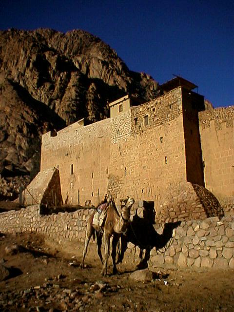 Monastery of St. Catherine and a snooty camel