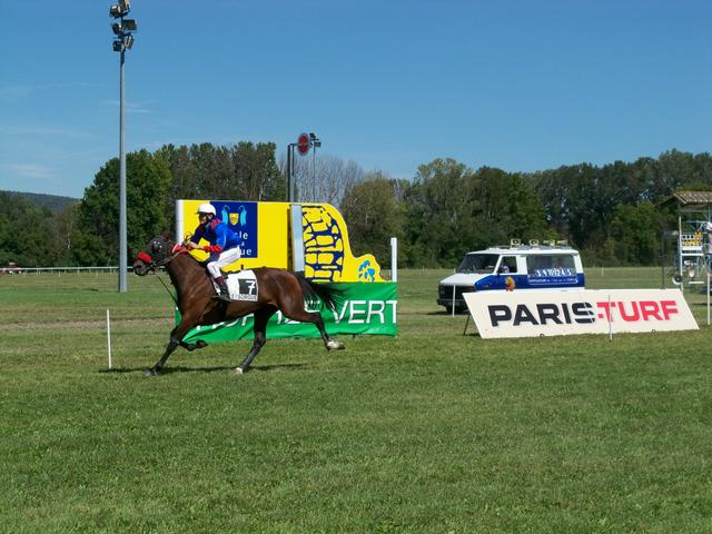 Horse race in L'Isle sur la Sorgue