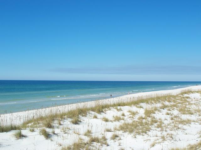 Beach at St. Joseph Peninsula State Park