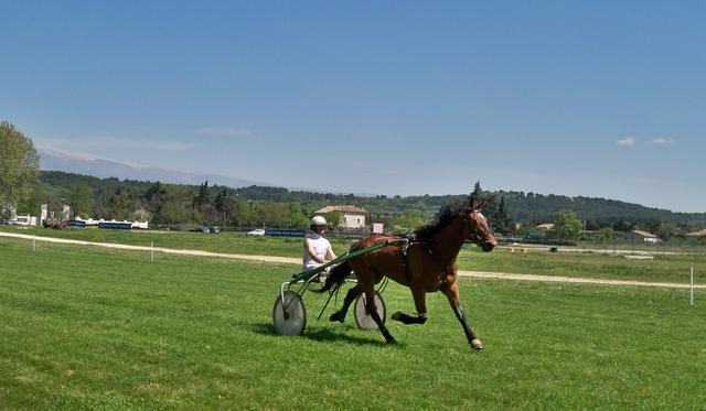 Trotting at Racecourse St. Ponchon