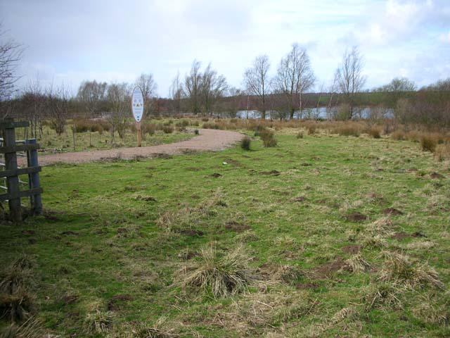 Stanwick Lakes country park