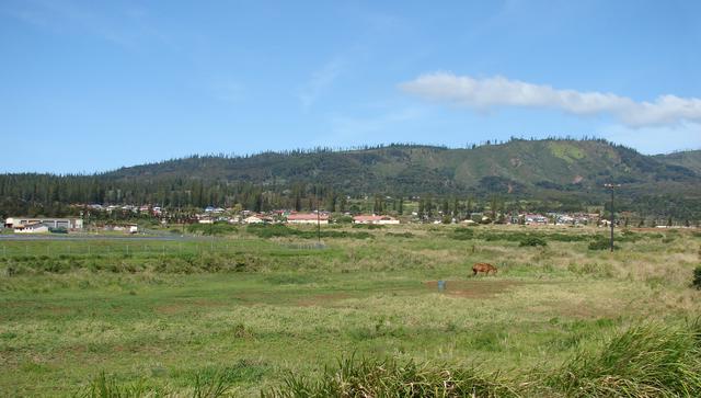 Lanai City and Mount Lanaihale