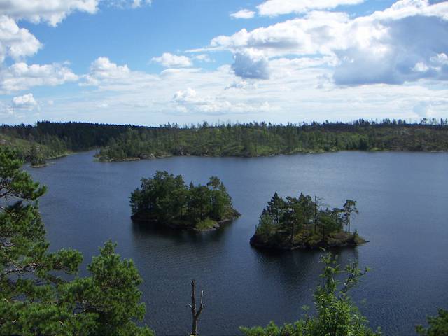 Tyresta National Park, a virgin forest 20 km south of central Stockholm.
