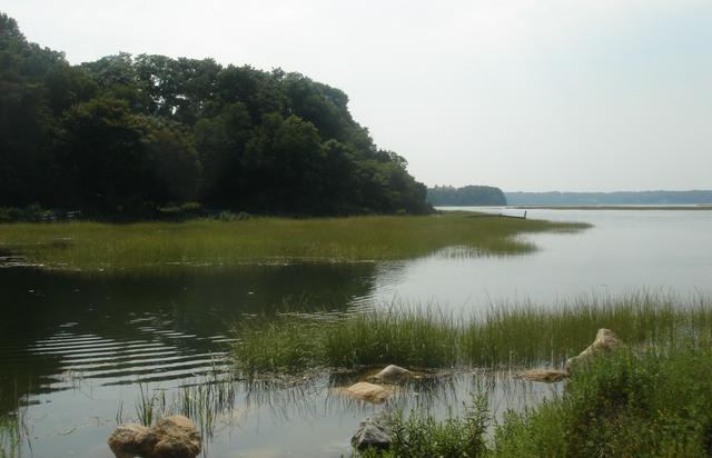 Stony Brook Harbor