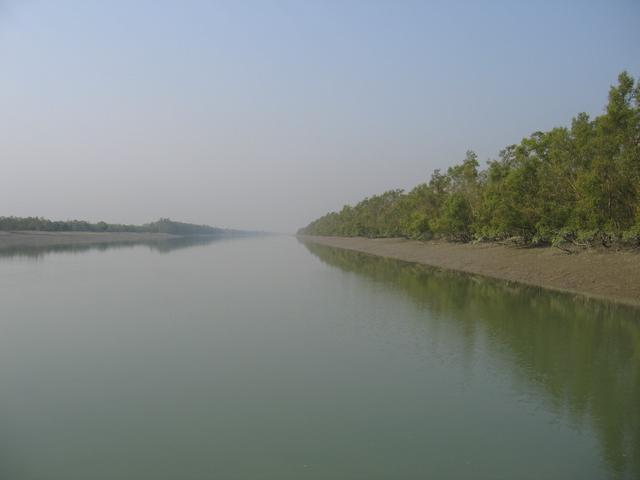 A broad, tree-lined river in the park