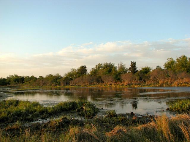 A sunset on the bayside wetlands looks beautiful, but bring bug repellant!