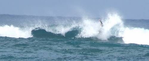 A surfer takes a dive in Las Palmas