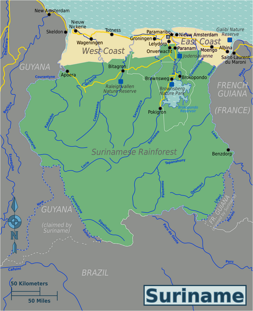 Surinamese Rainforest Region