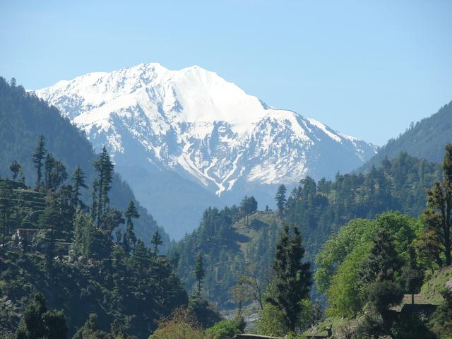 Gabral Upper swat