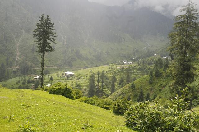 Sulatanr Upper Swat valley