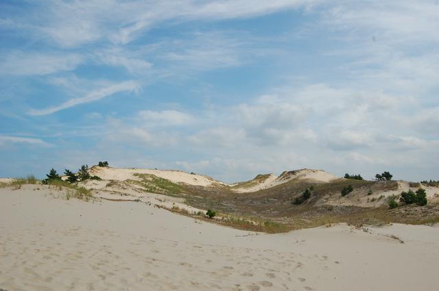 Sand dunes at the National Park