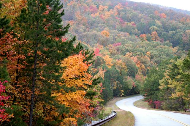 Talimena Drive in the fall