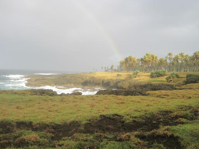 Coastline on Tanna Island