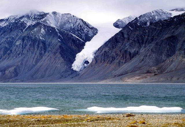 Gull Glacier in Tanquary Fiord