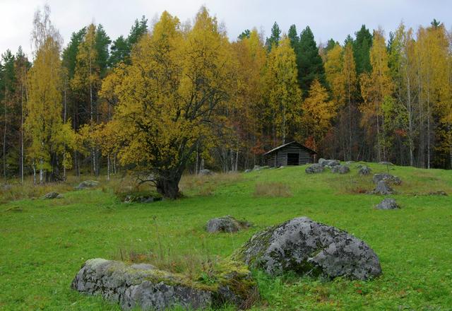 Agricultural heritage plays an important role in Koli, beside the natural views.