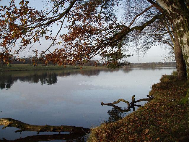 Tatton Mere (Tatton Park)