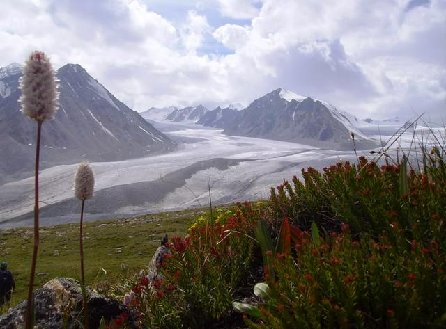 Tavan Bogd Mountains and glaciers.