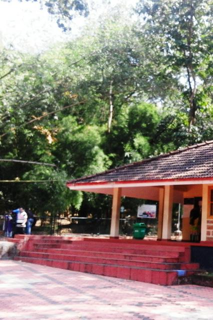Ticket Counter at the Teak Museum