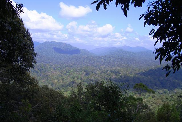 Teresek Hill, Taman Negara