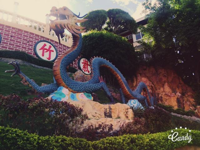 The Taoist Temple dragon