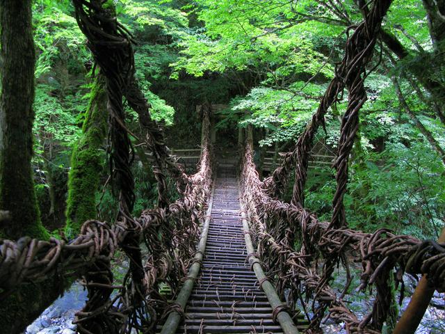 The Oku-Iya Vine Bridge