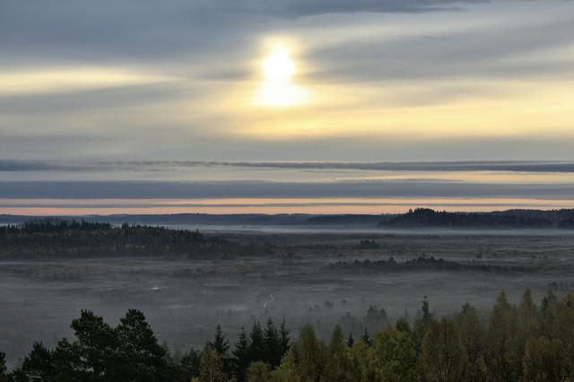 Morning mist at Torronsuo in the autumn.