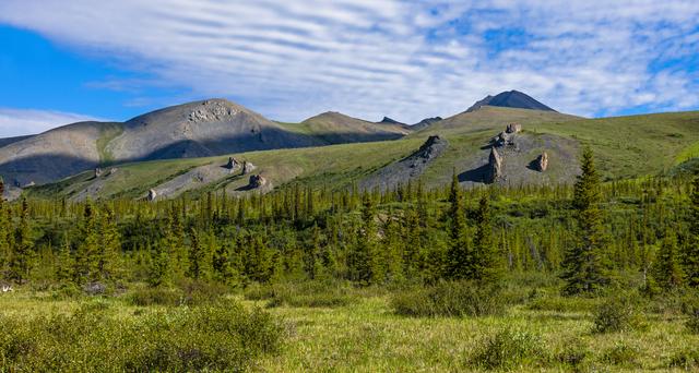 Tors behind Wolf Creek campsite on Firth River