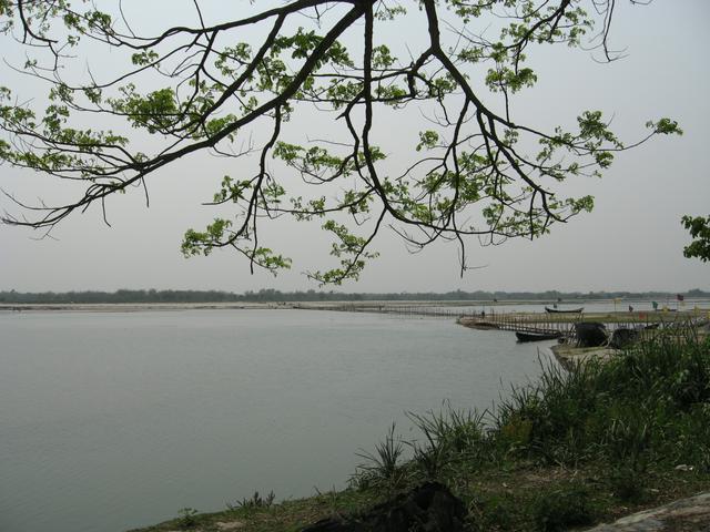 Torsa River near Cooch Behar