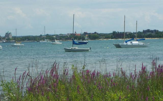 boats by the Traverse City waterfront