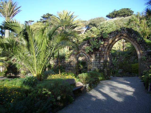 Palms and pandanus in England! The Tresco Abbey Gardens