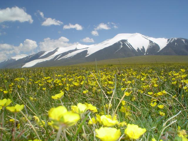 Tsambagarav Mountain in July