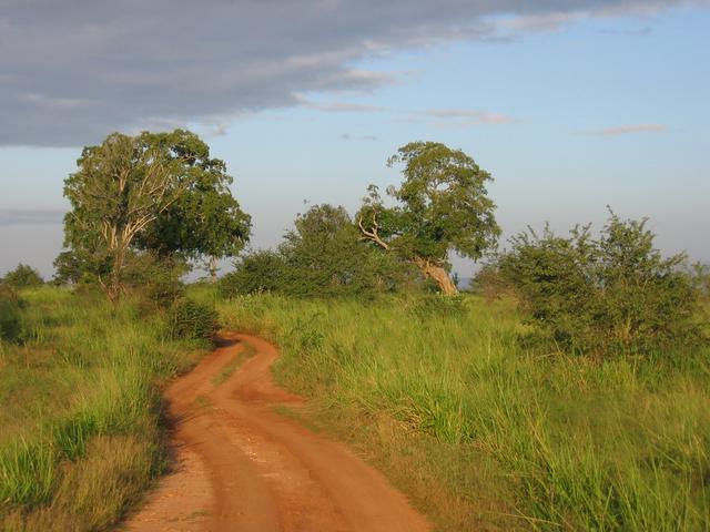 Road through Udawalawe National Park, near Ratnapura