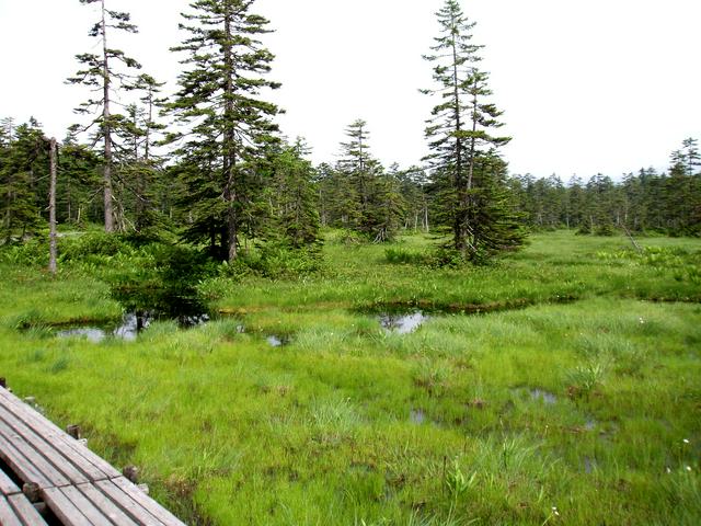 Ukishima wetlands