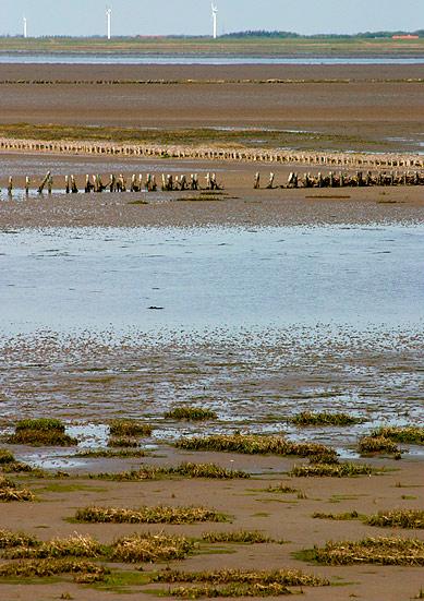 Wadden Sea landscape