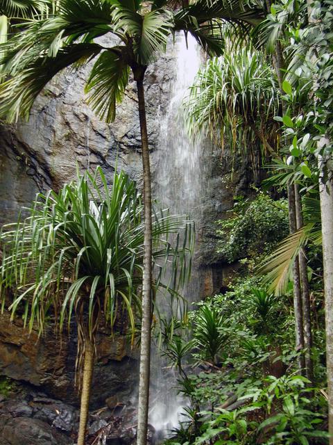 Waterfall in Vallée de Mai Nature Reserve