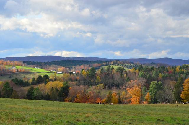 Vermont fall foliage