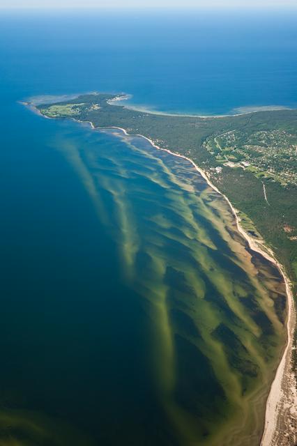 Algae in Lahepere Bay outside Laulasmaa