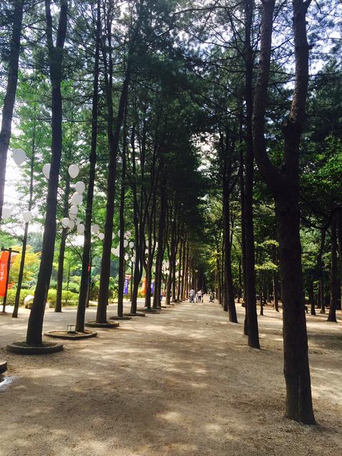 View of Nami Island