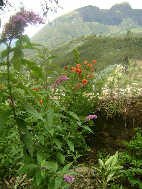 Quime Mountains