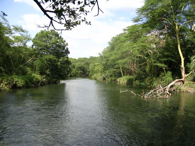 Tsavo River