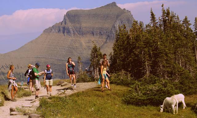 Visitors to Glacier National Park observing Mountain Goats