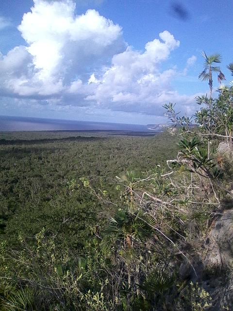 Landscape in the national park