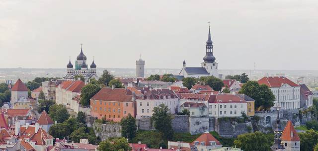 Toompea hill seen from the tower of St. Olof's church