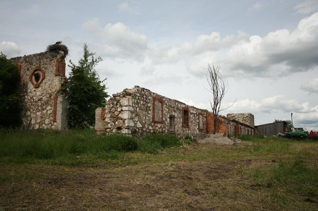 The castle ruins