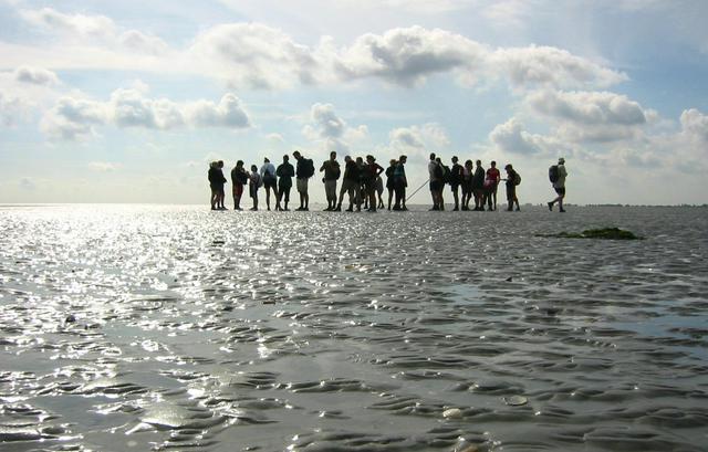 Mudflat hiking near Pieterburen