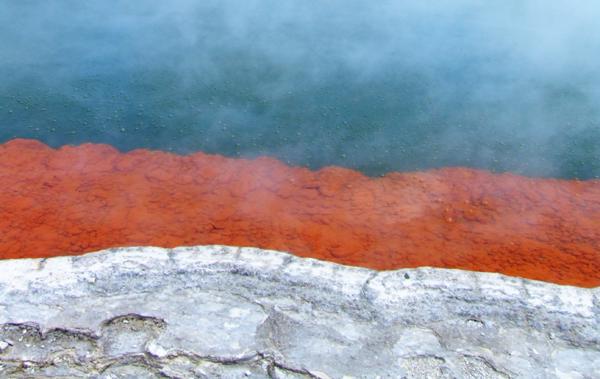 A boiling pool in Wai-O-Tapu Thermal Wonderland