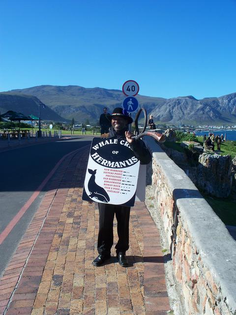 The Hermanus Whale Crier, who roams the shores announcing whale sightings by blowing a horn.