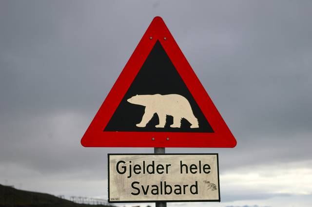 Warning - polar bears. "Applies to all of Svalbard".