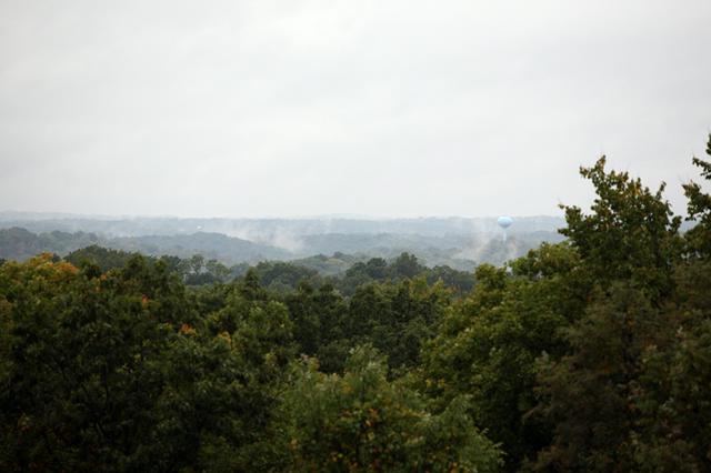 Wayne National Forest